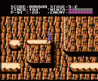 Ninja Gaiden